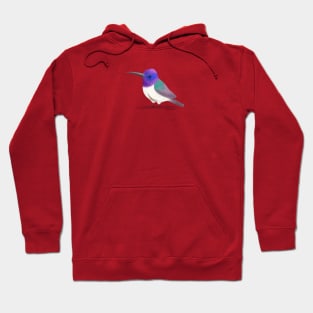 Ecuadorian Hillstar Hummingbird Hoodie